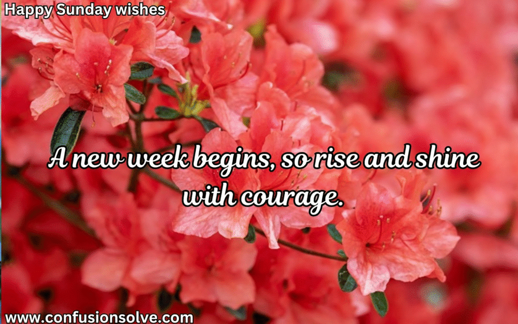 Sunday blessings