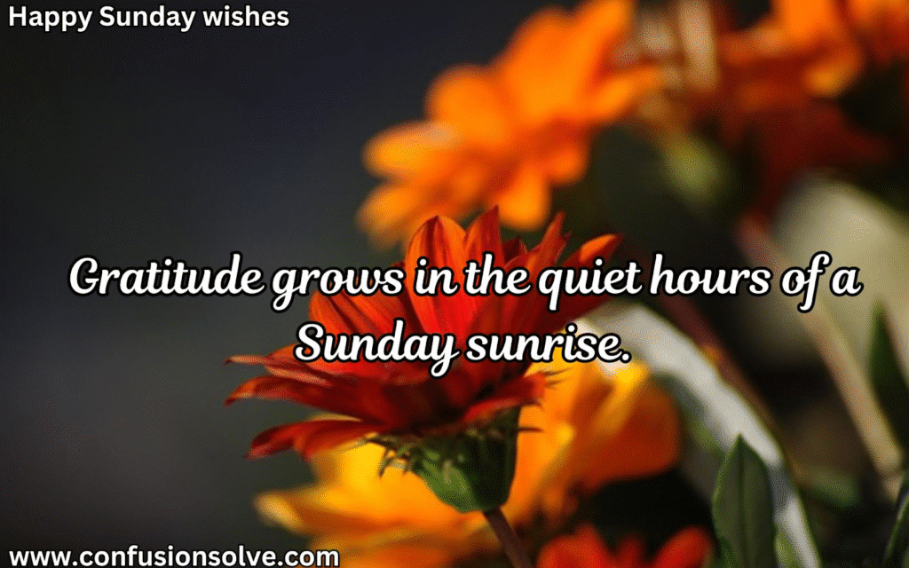 Romantic Sunday wishes