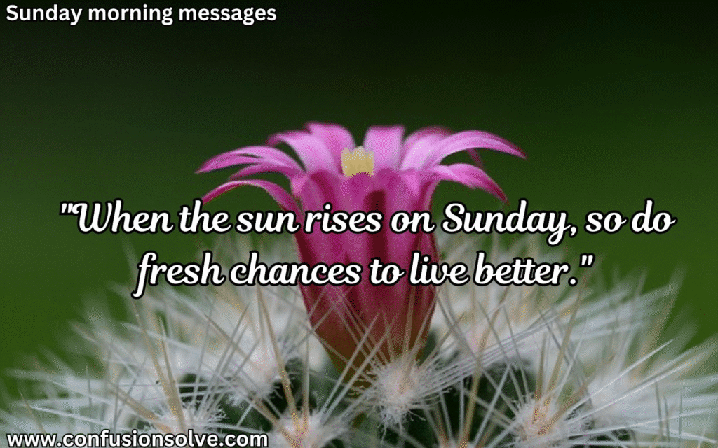 Good Morning and Happy Sunday Messages