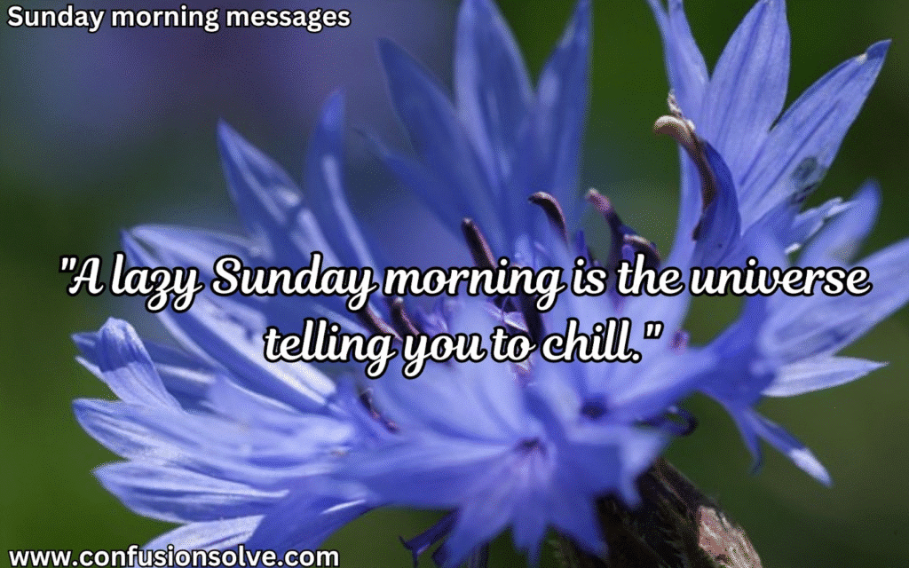 Happy Sunday Greetings