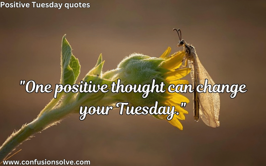 Tuesday Blessings Quotes