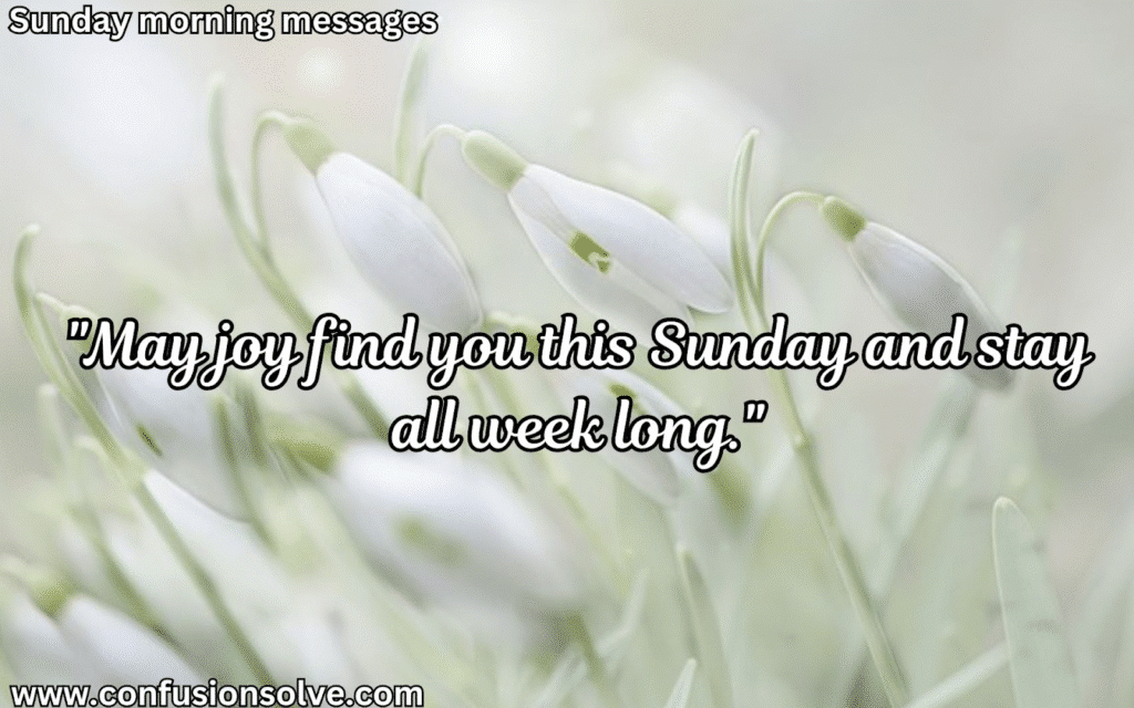 Happy Sunday Blessings