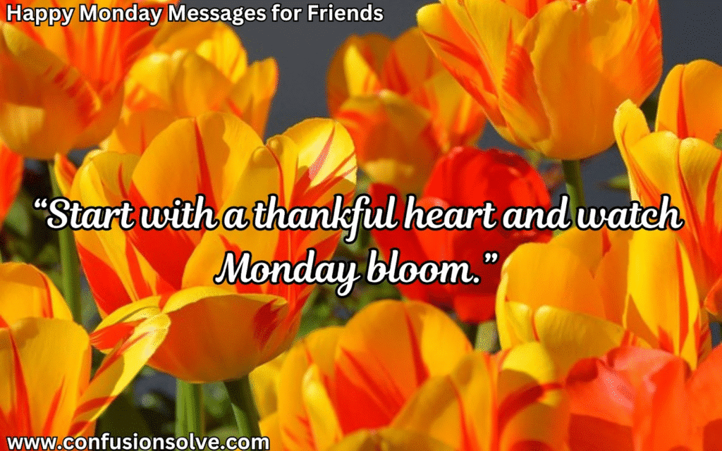 Monday Morning Greetings