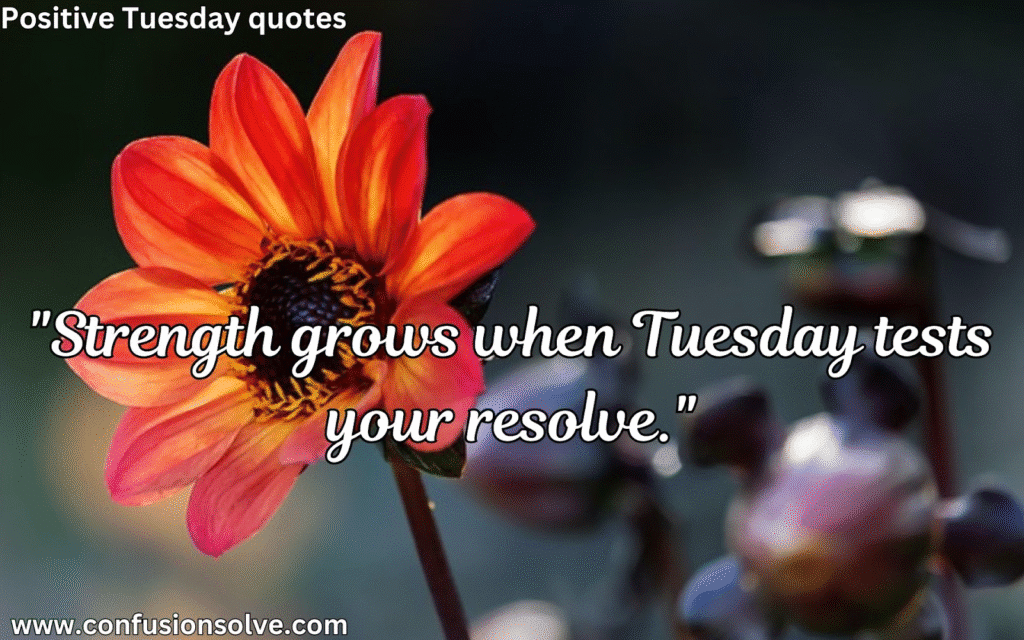 Tuesday Quotes for Confidence