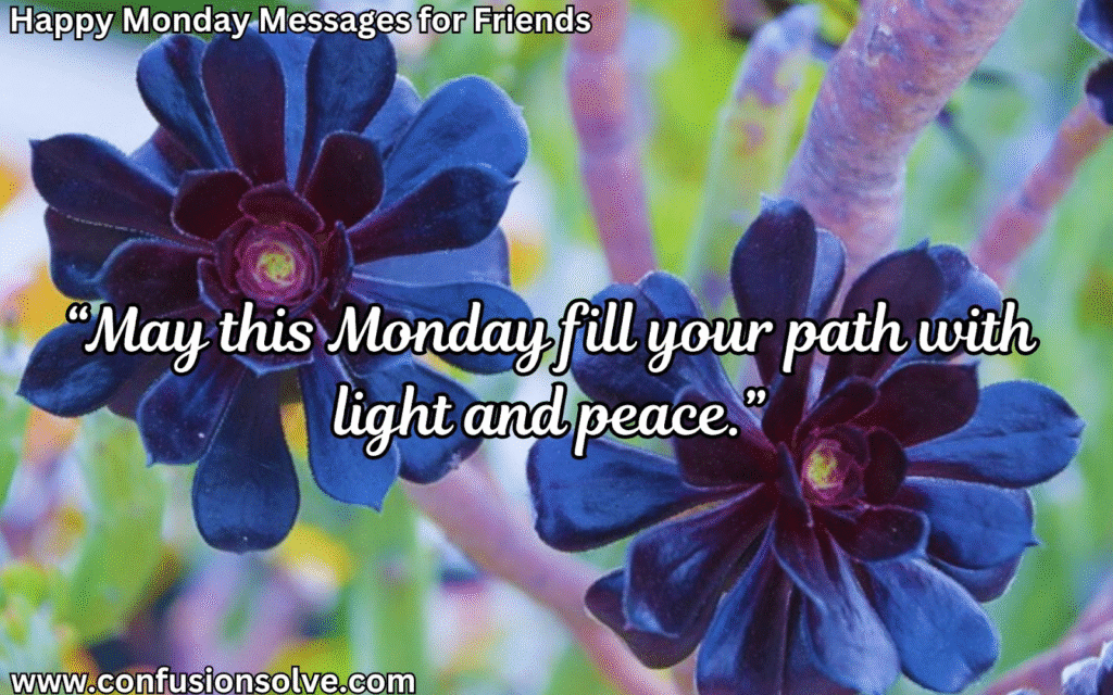 Motivational Monday Messages