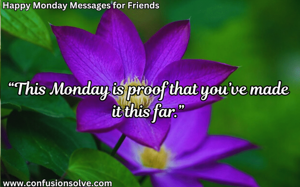 Monday Quotes for Friends