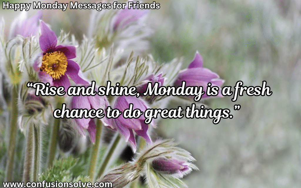 Monday Morning Wishes