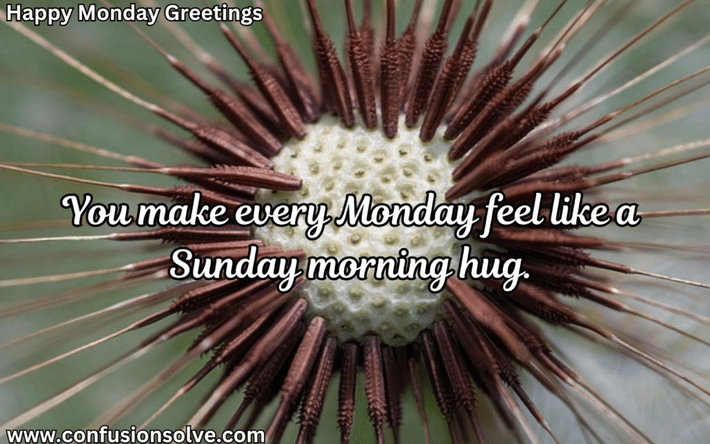 Monday Morning Greetings
