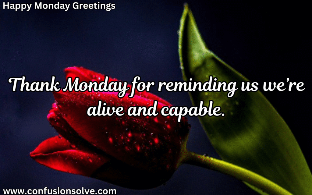 Happy Monday Wishes