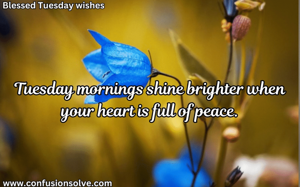 Tuesday Blessings