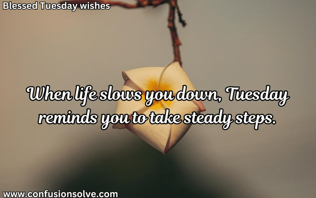 Tuesday Morning Blessings