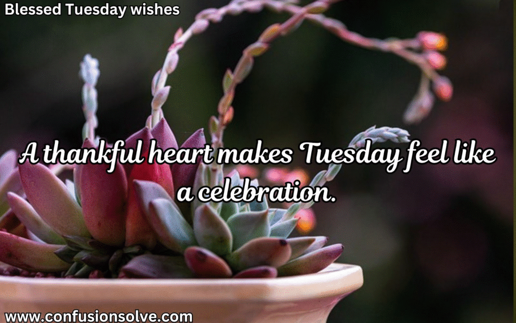 Happy Tuesday Blessings