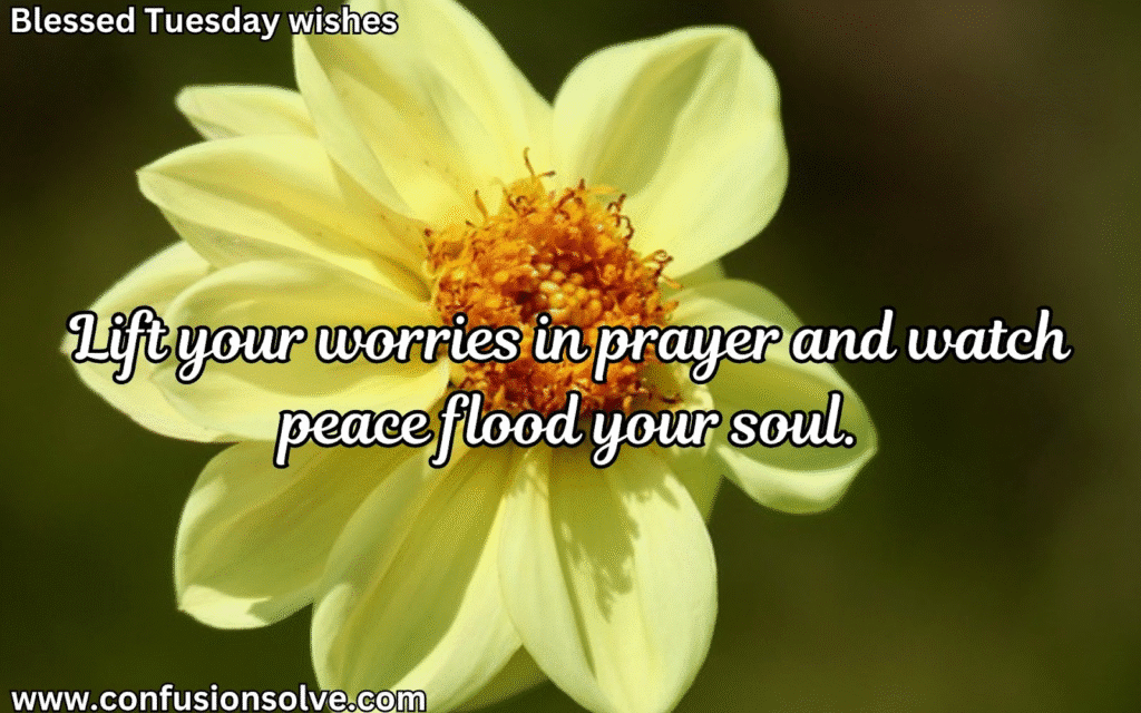 Good Morning Tuesday Wishes
