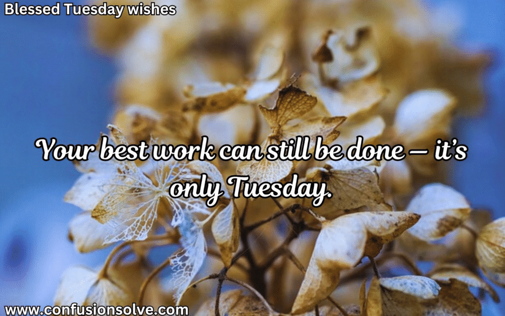 Tuesday Morning Prayers
