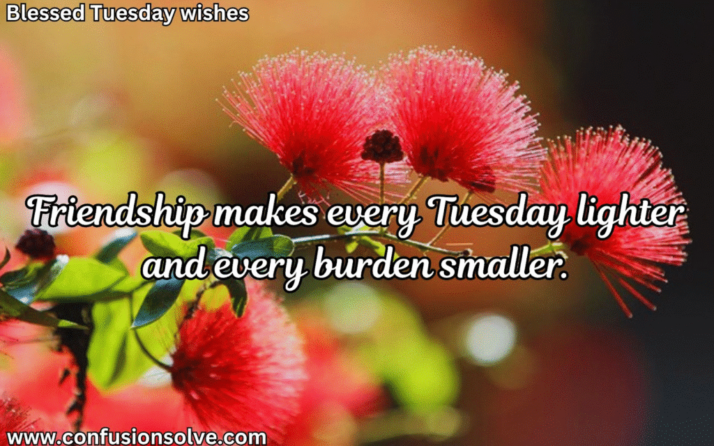 Positive Tuesday Blessings
