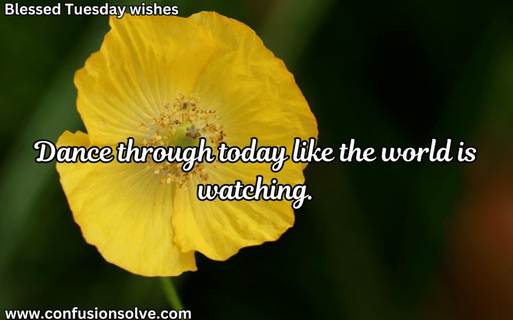 Thankful Tuesday Blessings