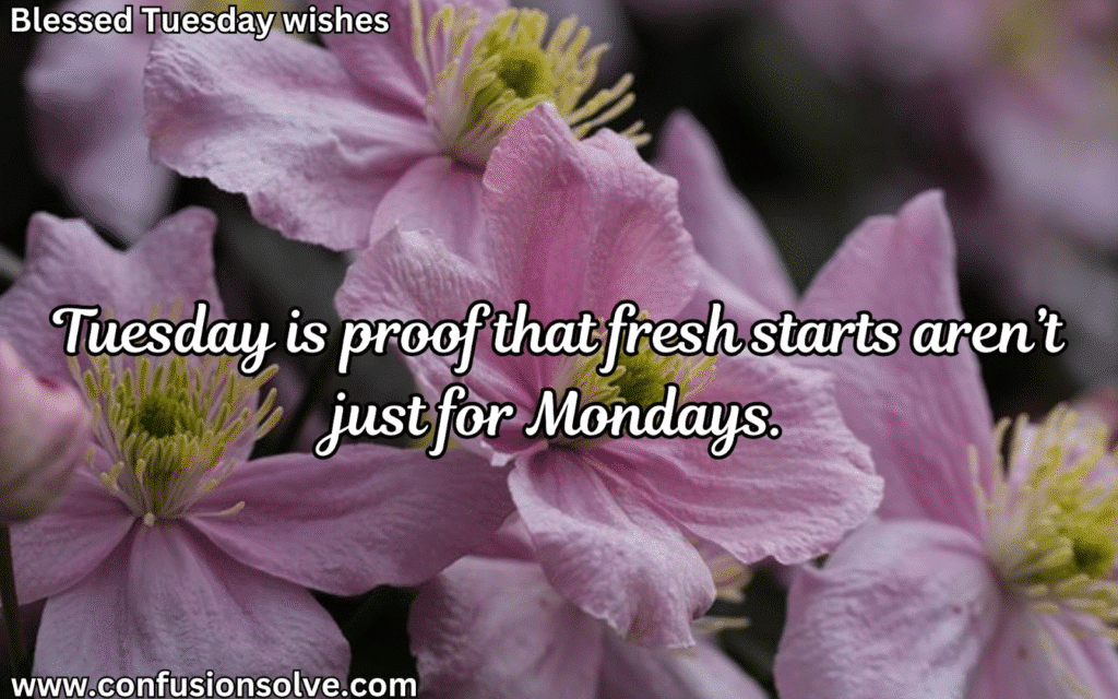 Tuesday Blessings