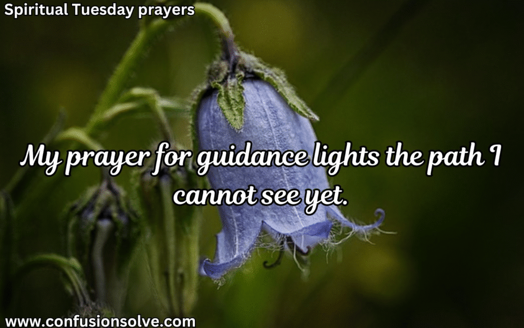 Tuesday Prayer Points