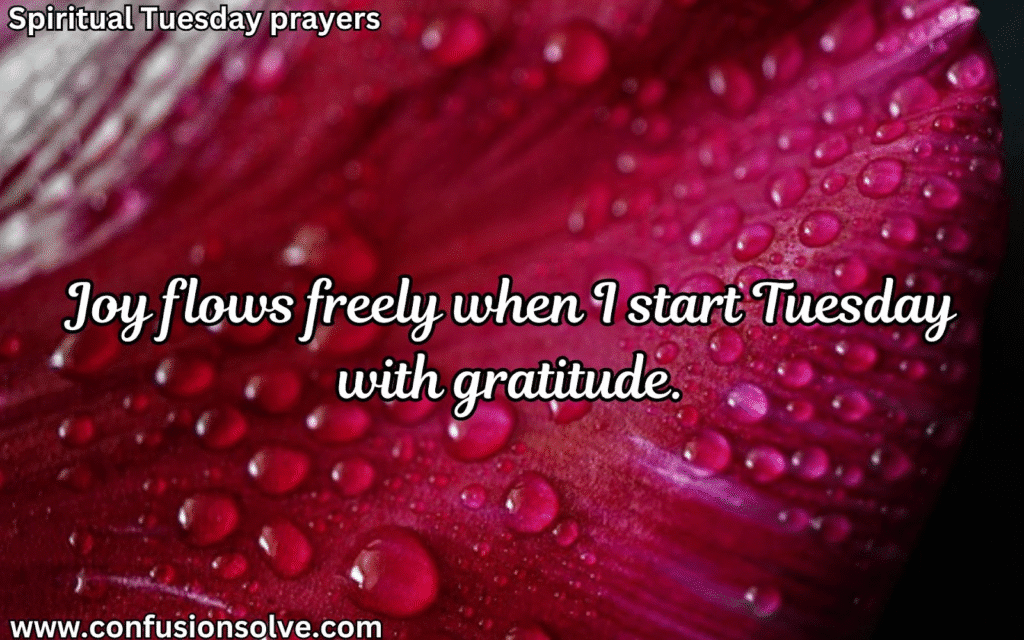 Tuesday Blessings