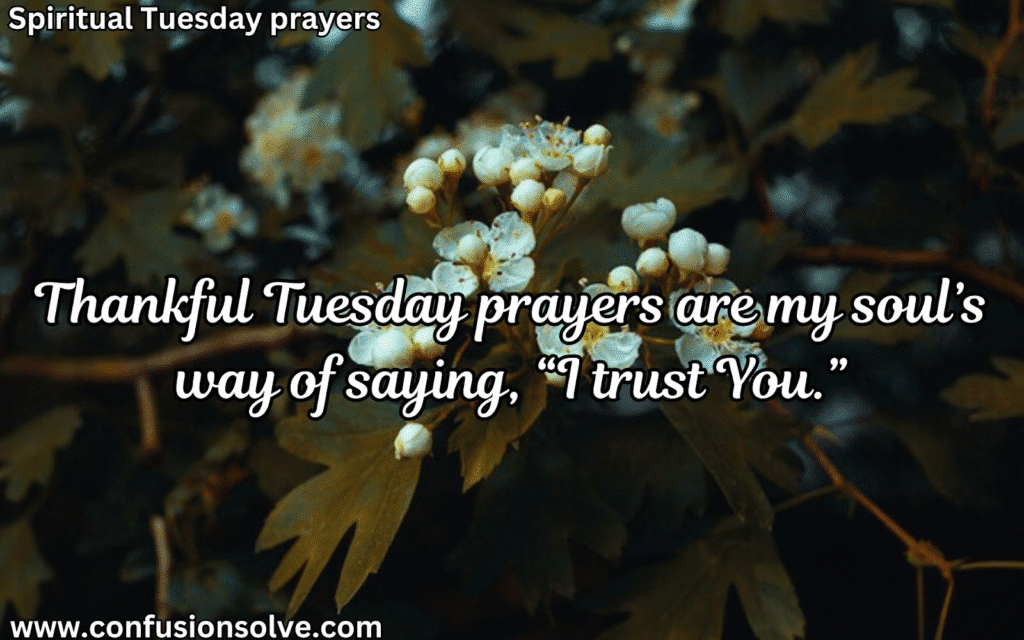 Powerful Tuesday Morning Prayer