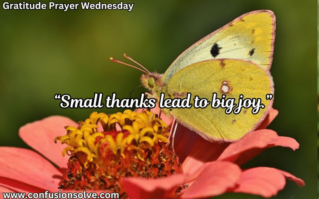 prayer for gratitude and thankfulness