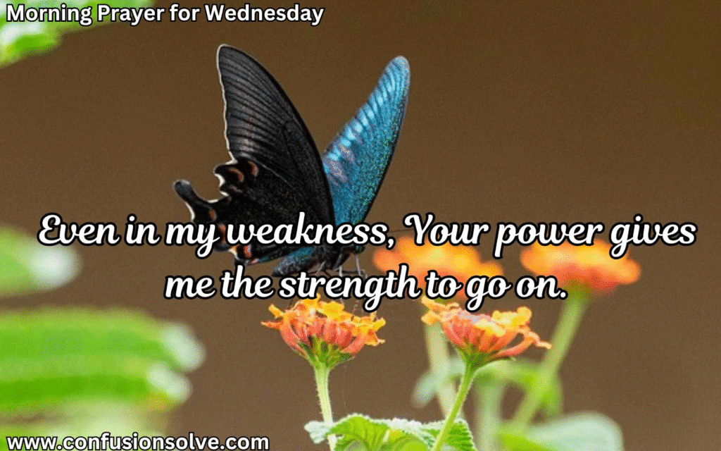 Prayer for wisdom