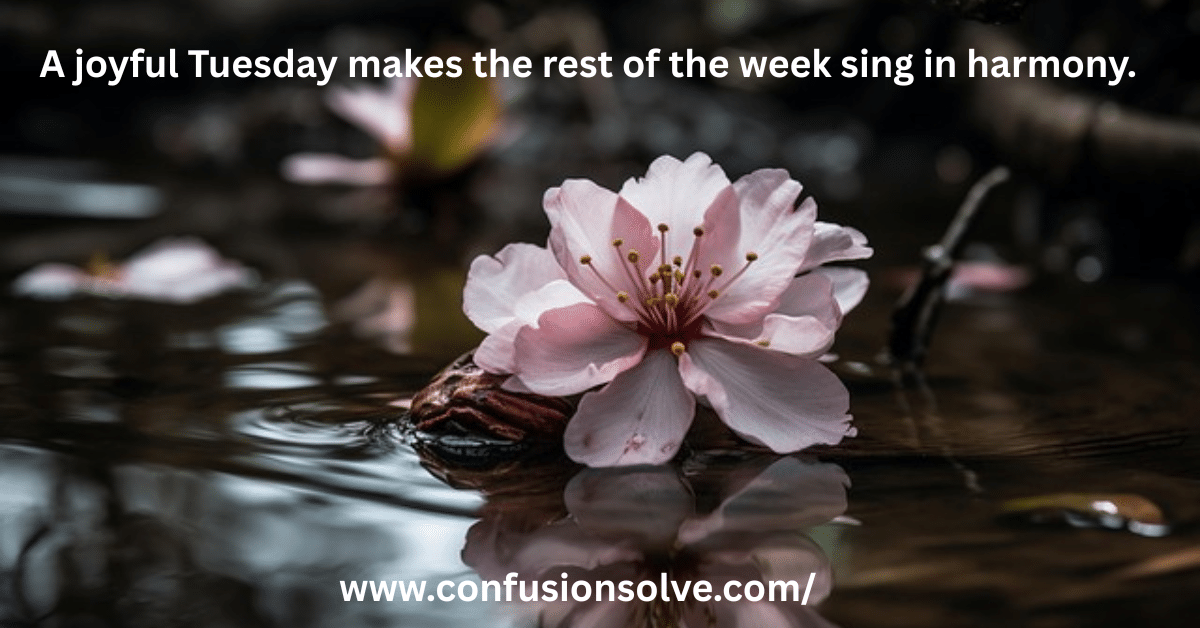 tuesday quotes