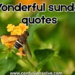 wonderful sunday quotes