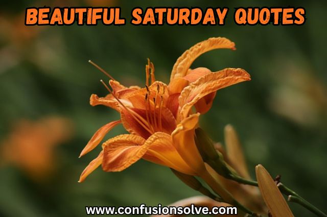Beautiful Saturday quotes