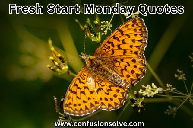 Fresh Start Monday Quotes