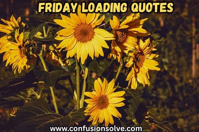 Friday Loading Quotes
