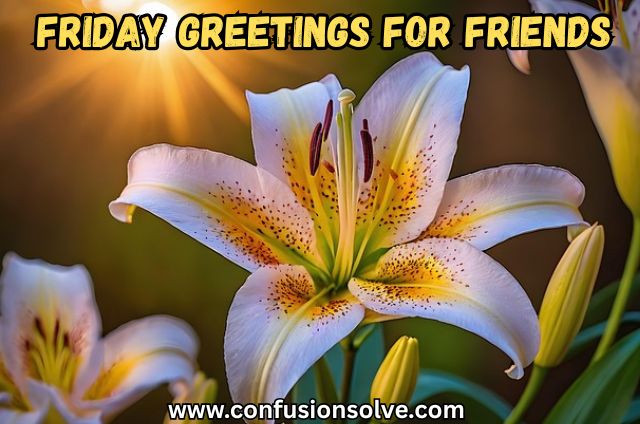 Friday greetings for friends