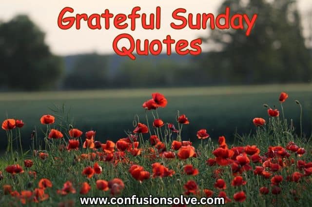 Grateful Sunday Quotes