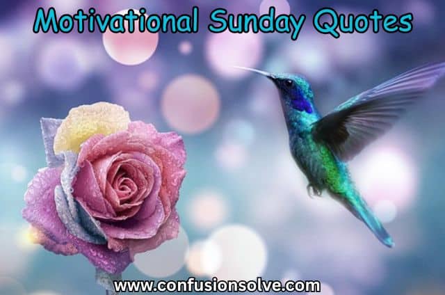 Motivational Sunday Quotes