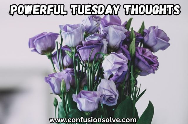 Powerful Tuesday Thoughts