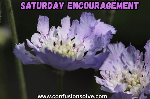 Saturday Encouragement