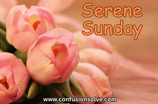 Serene Sunday