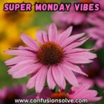 Super Monday Vibes