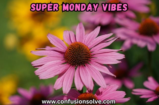 Super Monday Vibes