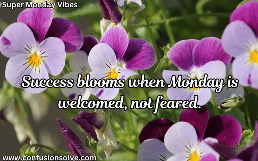 Positive Monday quotes