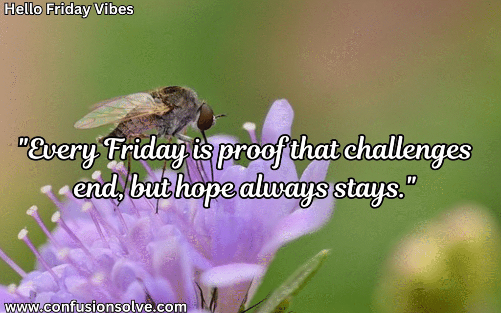 Fresh start Friday