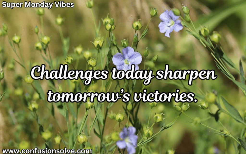 Monday motivation quotes