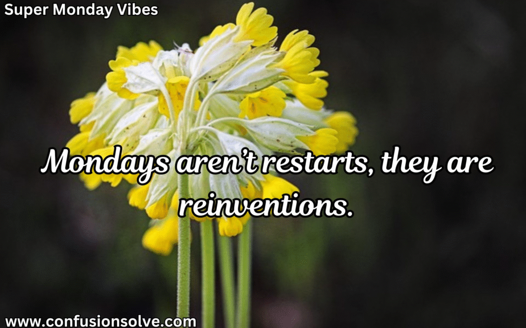 Funny Monday quotes