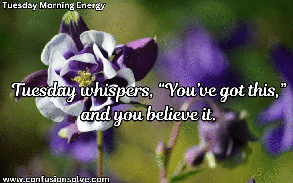 Tuesday motivation quotes