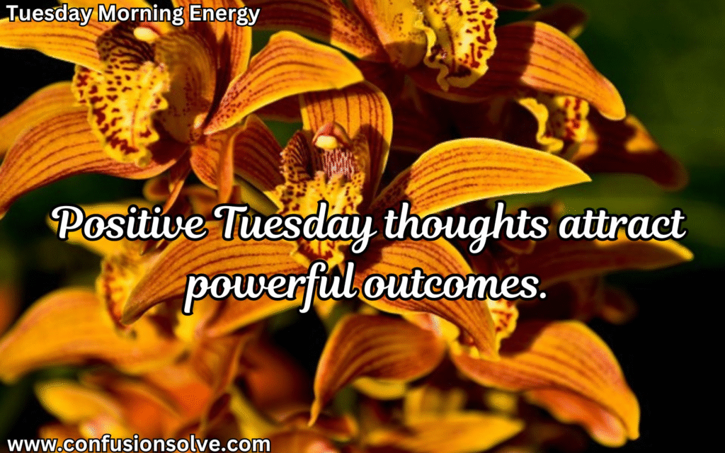 Inspirational Tuesday quotes