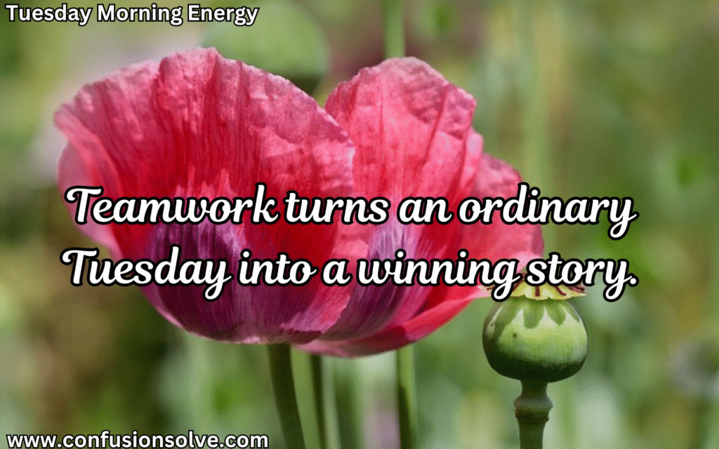 Tuesday positivity quotes