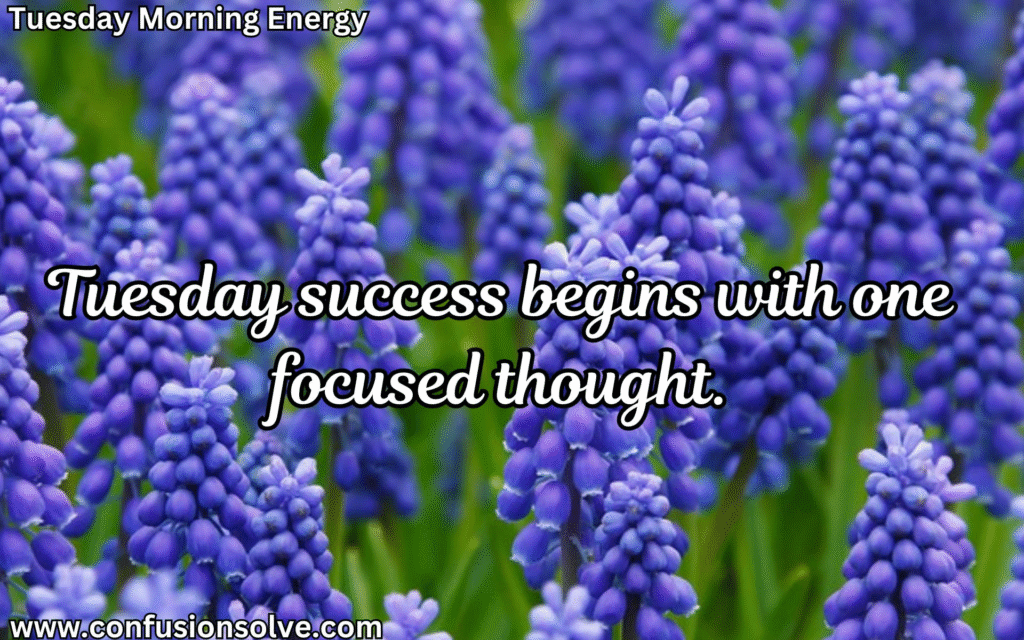 Tuesday blessings quotes