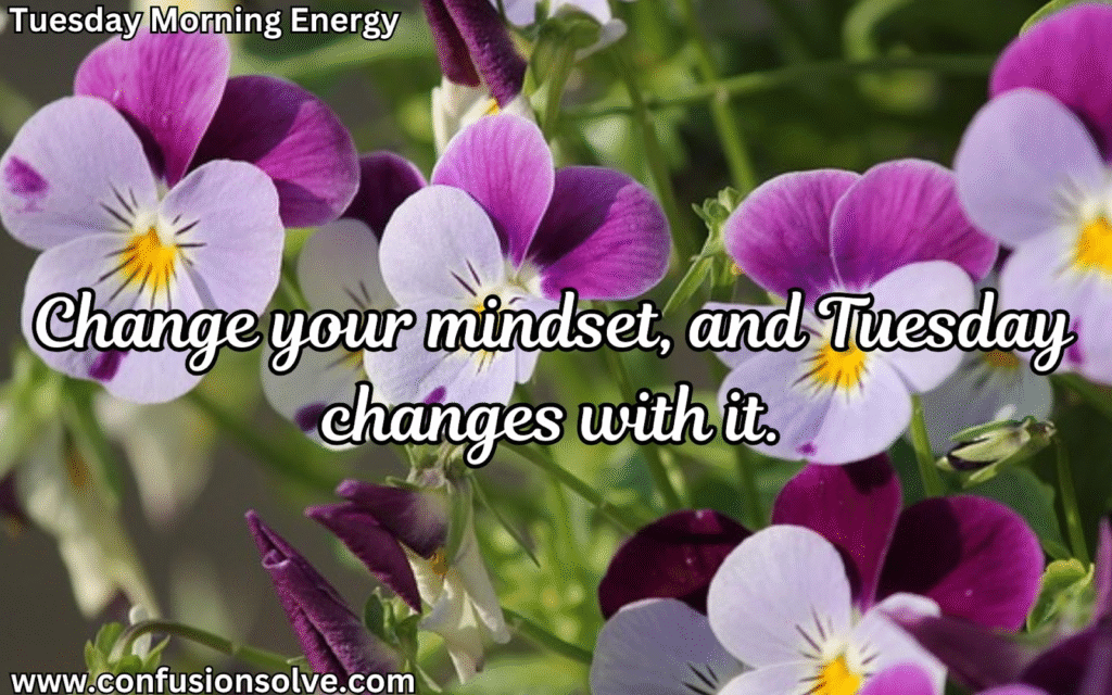 Tuesday motivation quotes