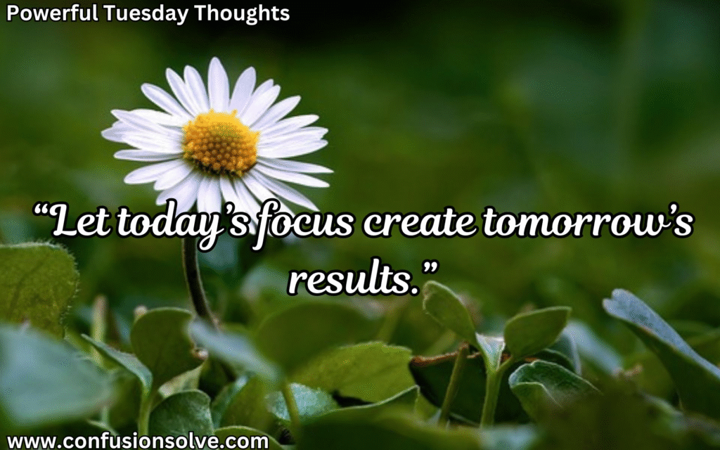 Tuesday motivation quotes