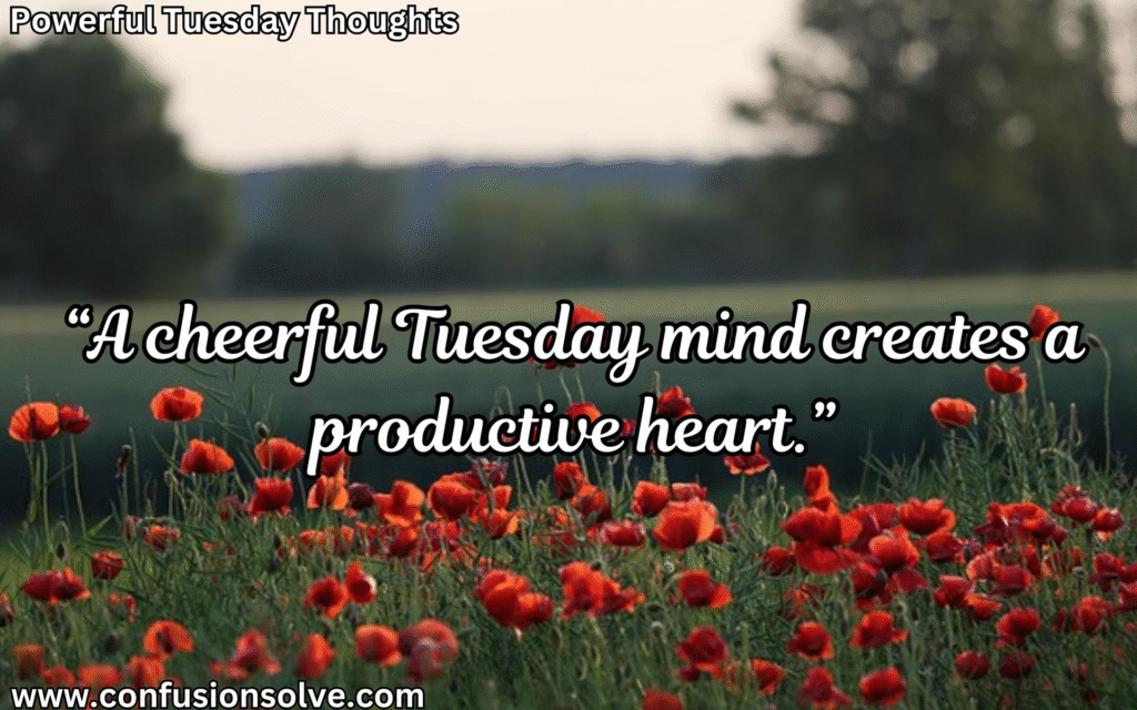 Tuesday quotes